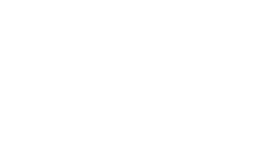 Logo VIF